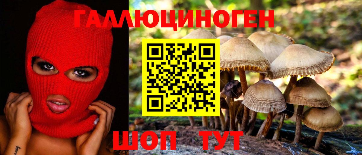 Алапаевск  Галлюциногенные грибы GOLDEN TEACHER  Вход с VPN 